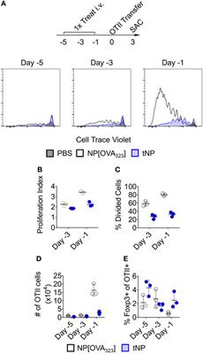 Tolerogenic Nanoparticles Induce Antigen-Specific Regulatory T Cells and Provide Therapeutic Efficacy and Transferrable Tolerance against Experimental Autoimmune Encephalomyelitis